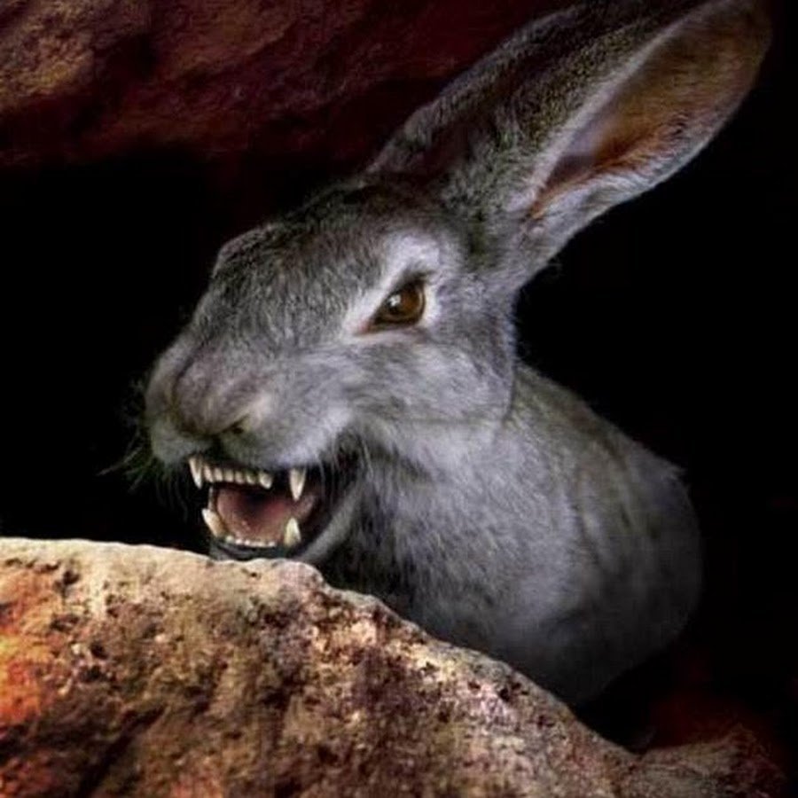 Граф Сантаниэль