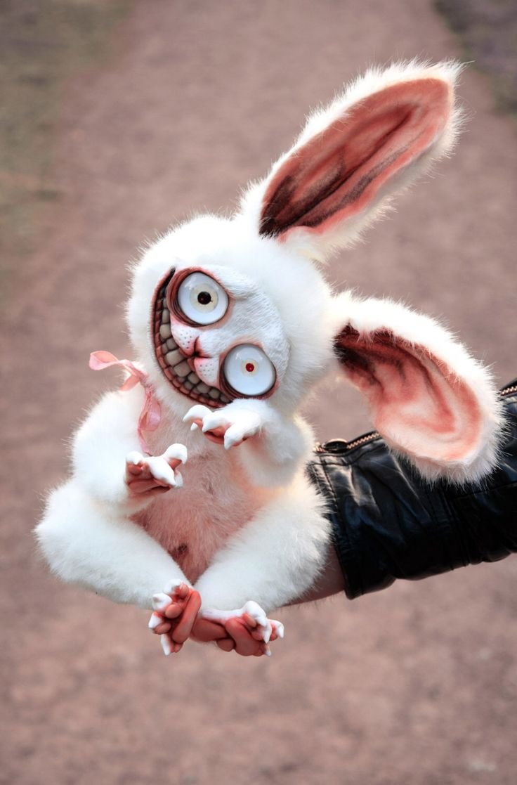 СЦП Скромник в реальной жизни