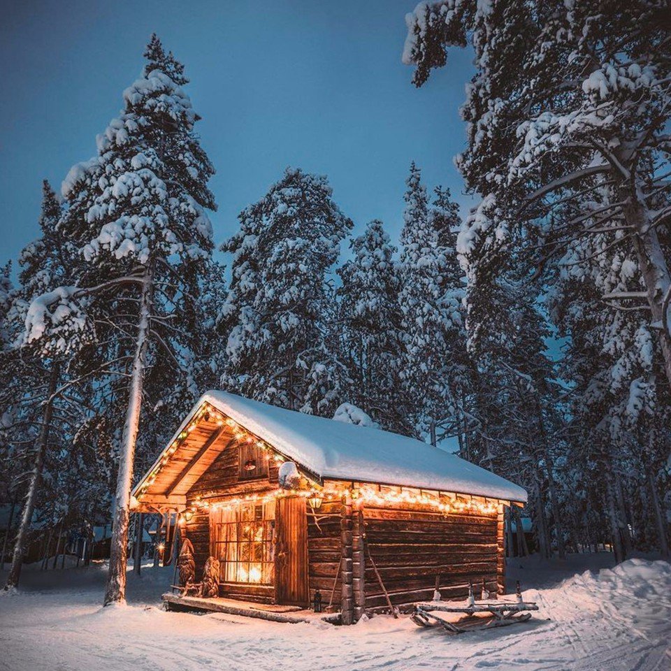 Тайга изба зима Карелия