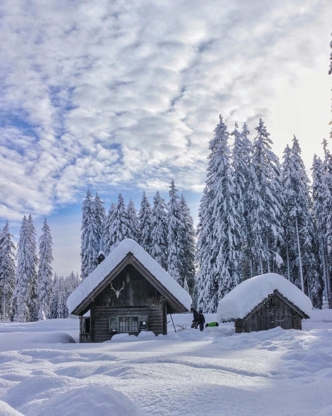 Заснеженный дом