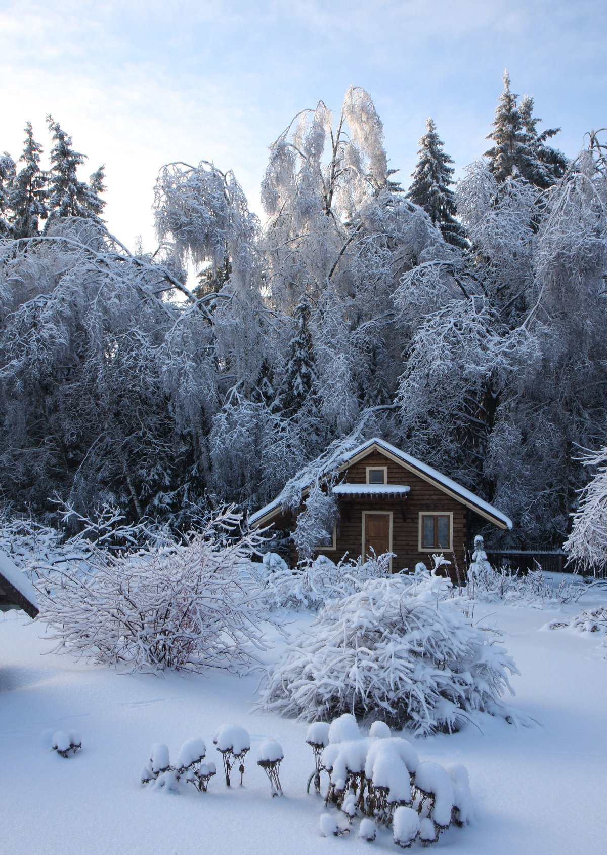 Домик в зимнем лесу