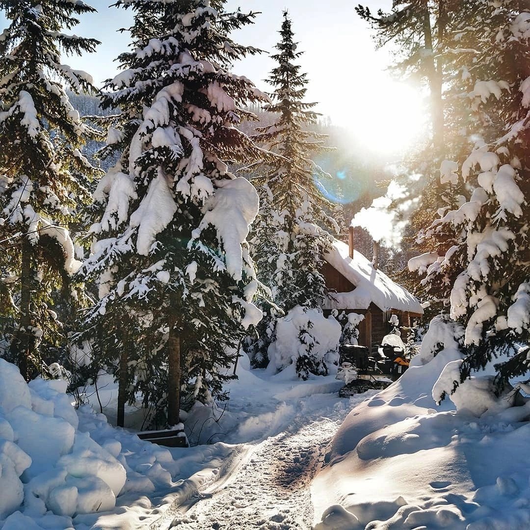 Опушка леса