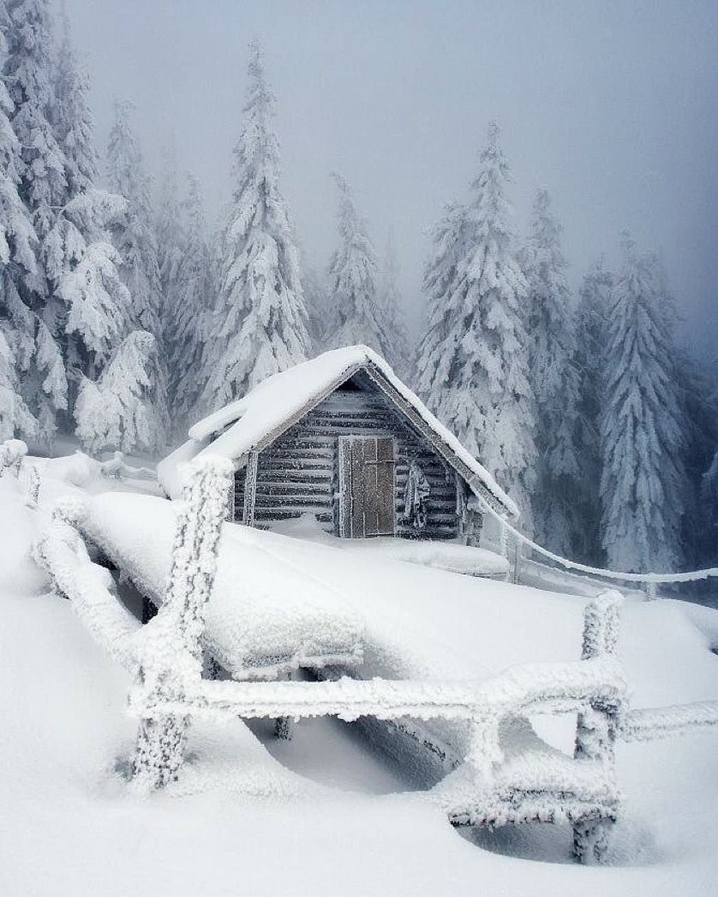 Избушка в зимнем лесу