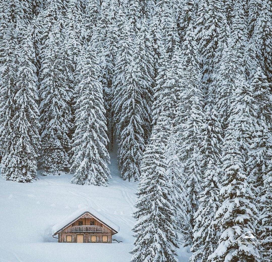 Зимний Скандинавский лес