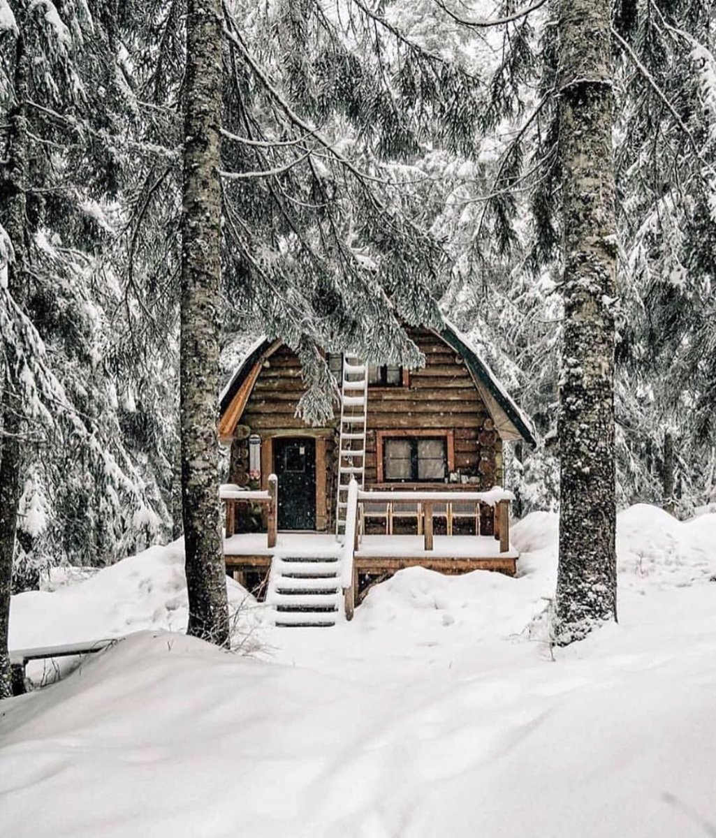 Лесная Хижина Финляндия