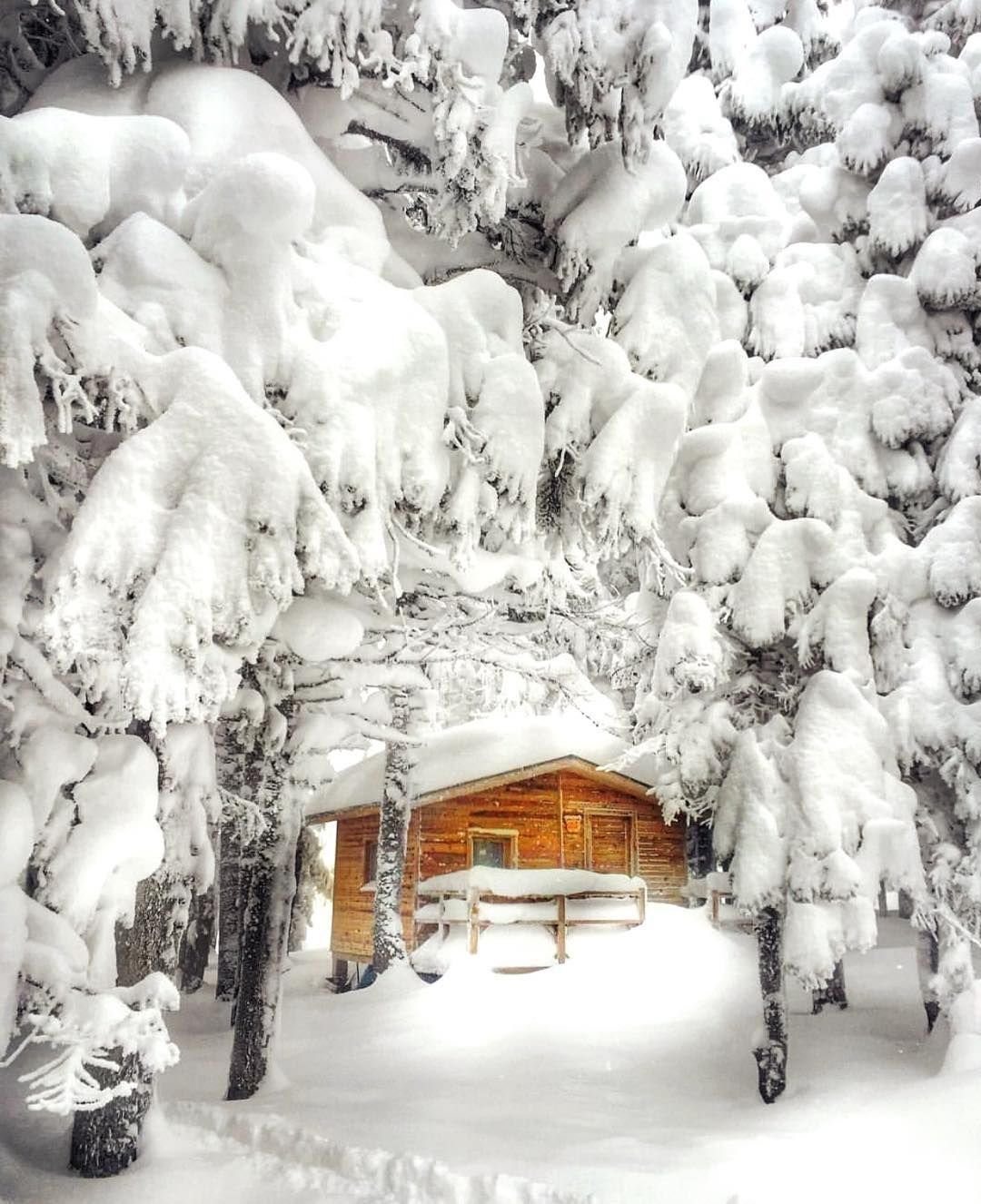 У леса на опушке жила зима в избушке