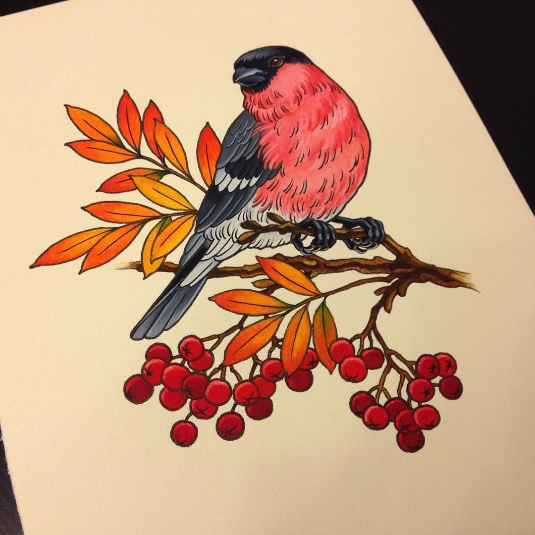 Снегирь на веточке рябины