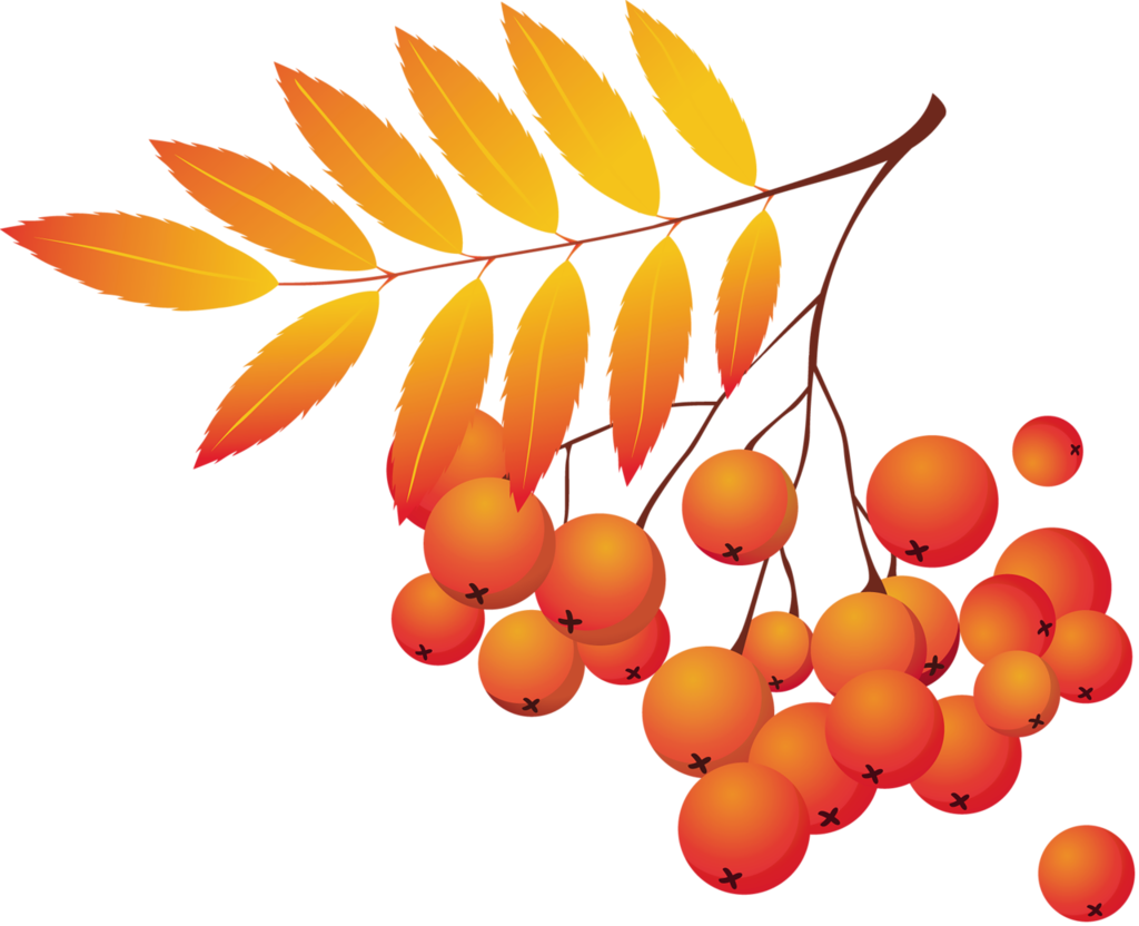 Зимние птицы