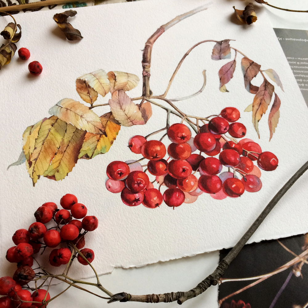 Лист рябины