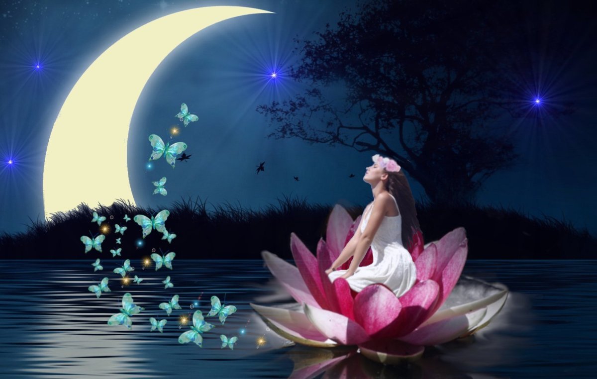 Доброй ночи креатив