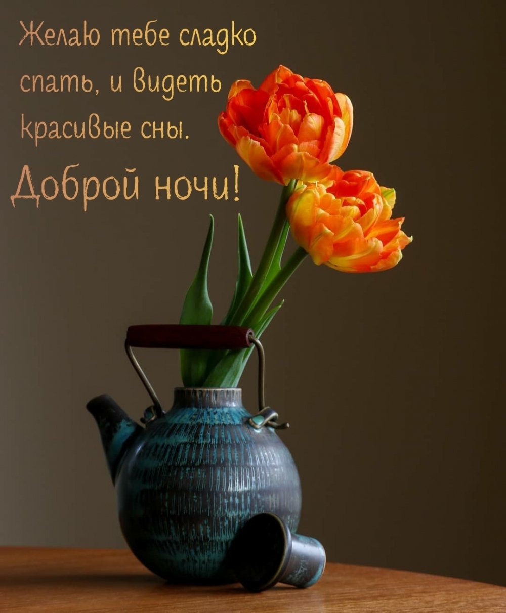 Картинки спокойной ночи оригинальные и необычные