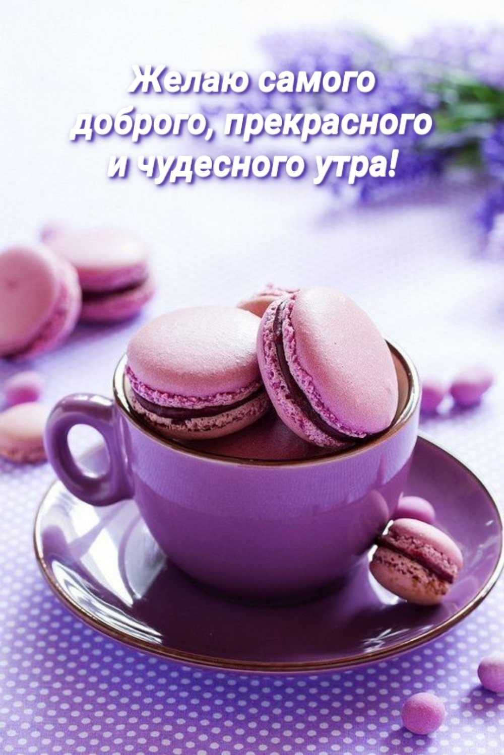 Кофе в сиреневых тонах