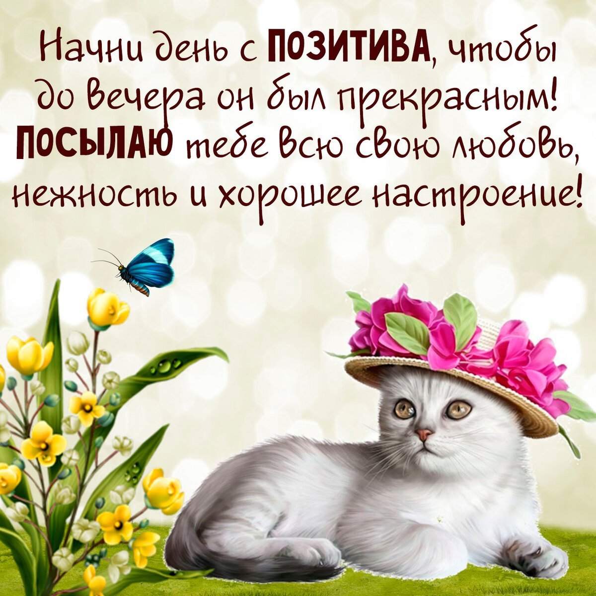 Прекрасный день