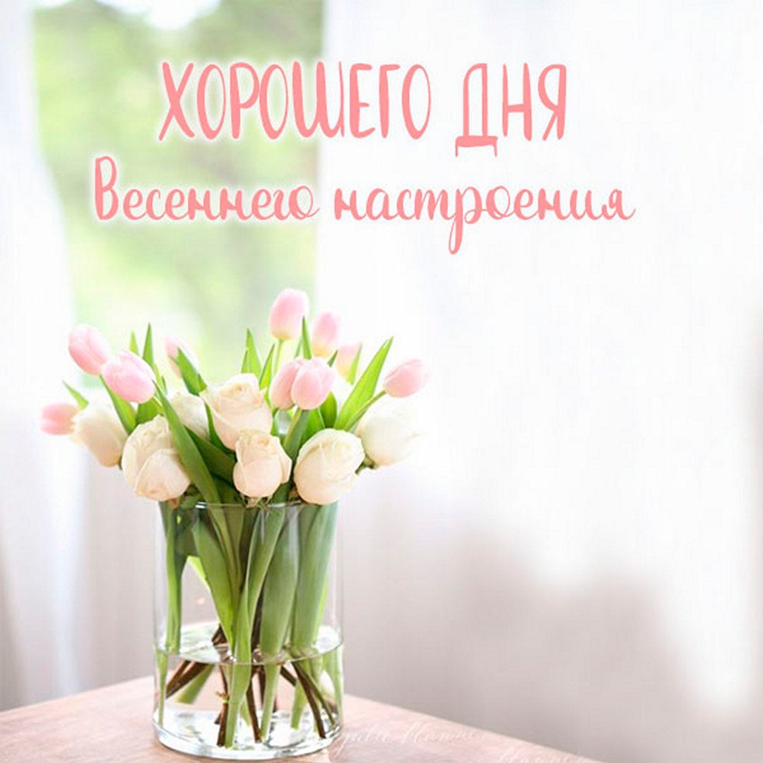 Отличного плодотворного дня