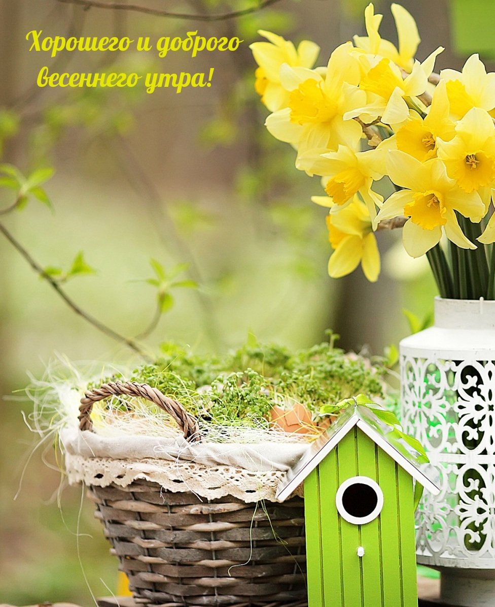 Открытки с добрым утром субботы