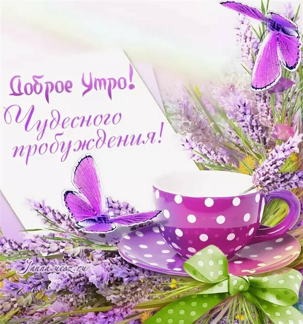 Пожелания с добрым утром с природой