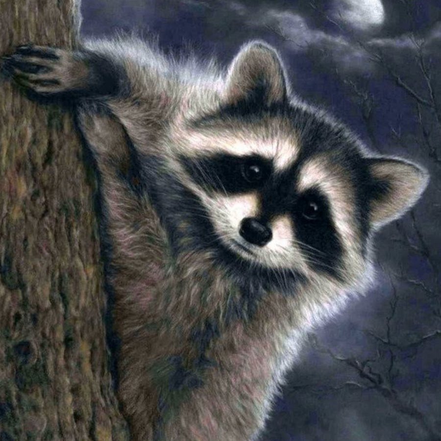 Енот пастелью