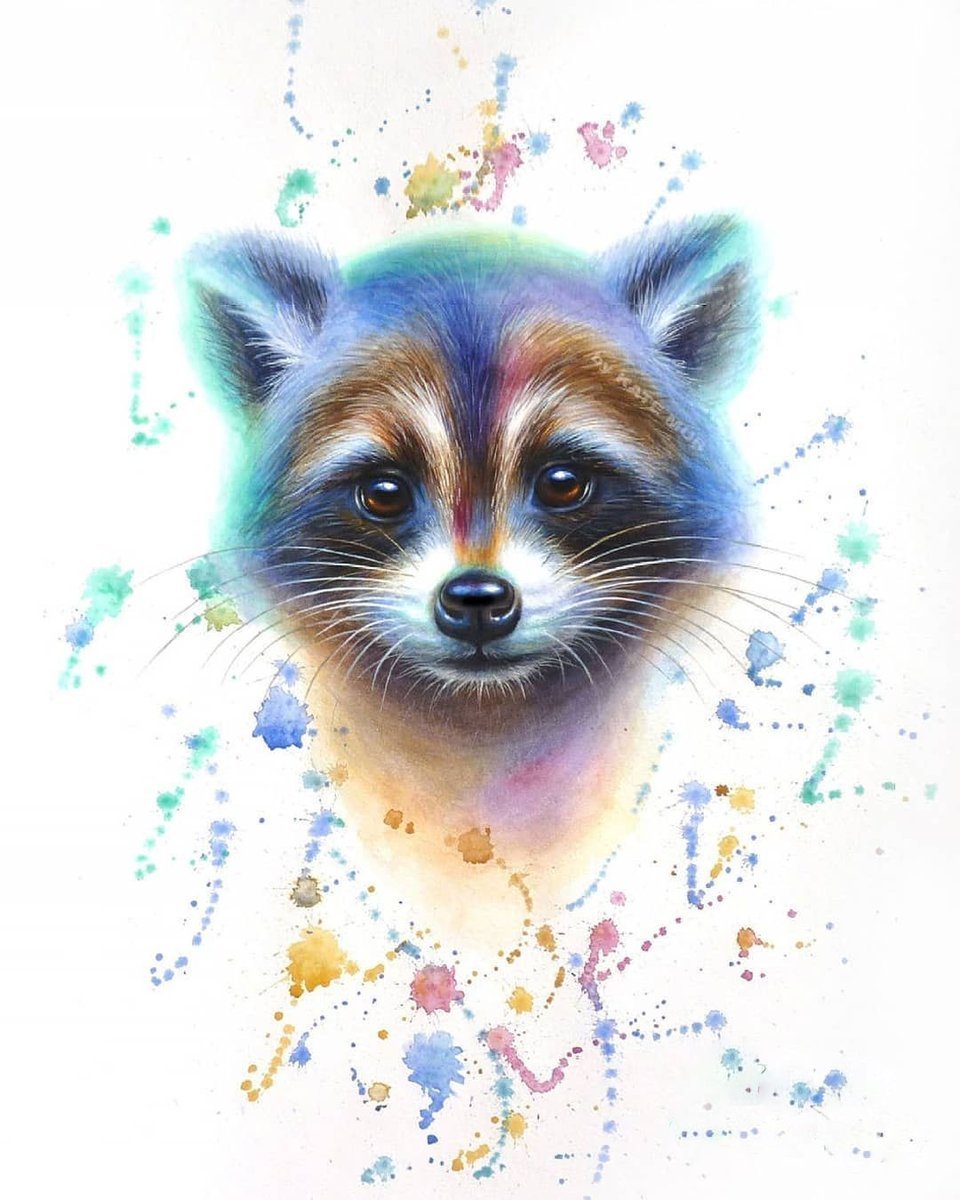 Енот акварелью