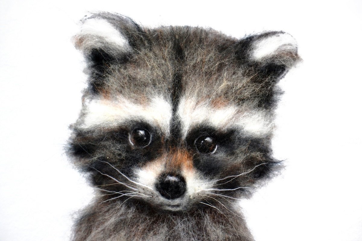 Милый Енотик мультяшный