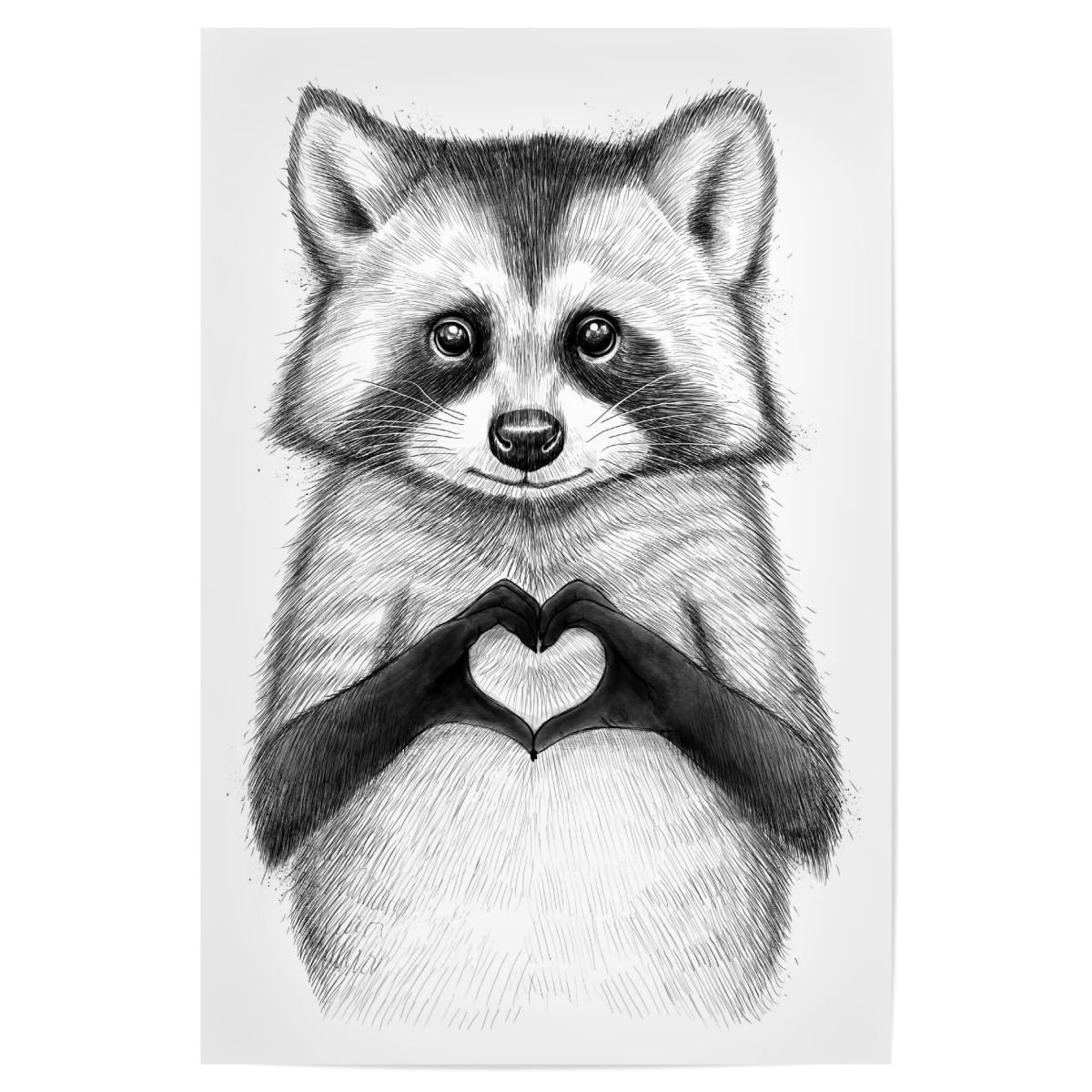 Енот с сердечком