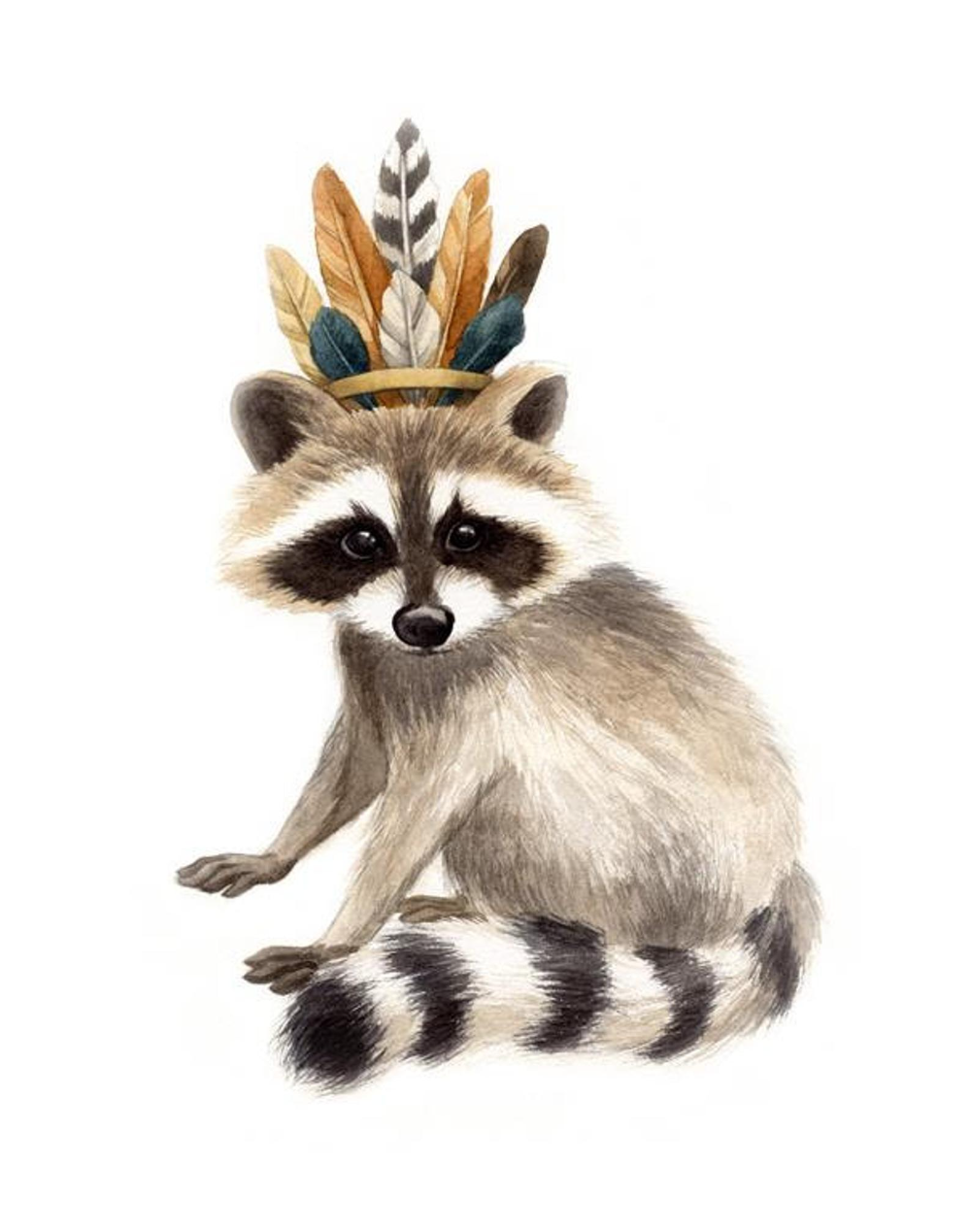 Енот рисунок