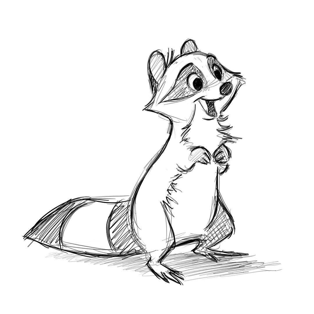 Енот рисунок для срисовки