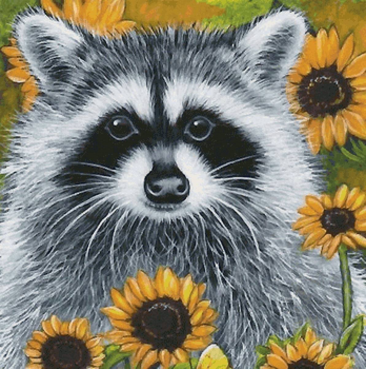 Енот цветными карандашами