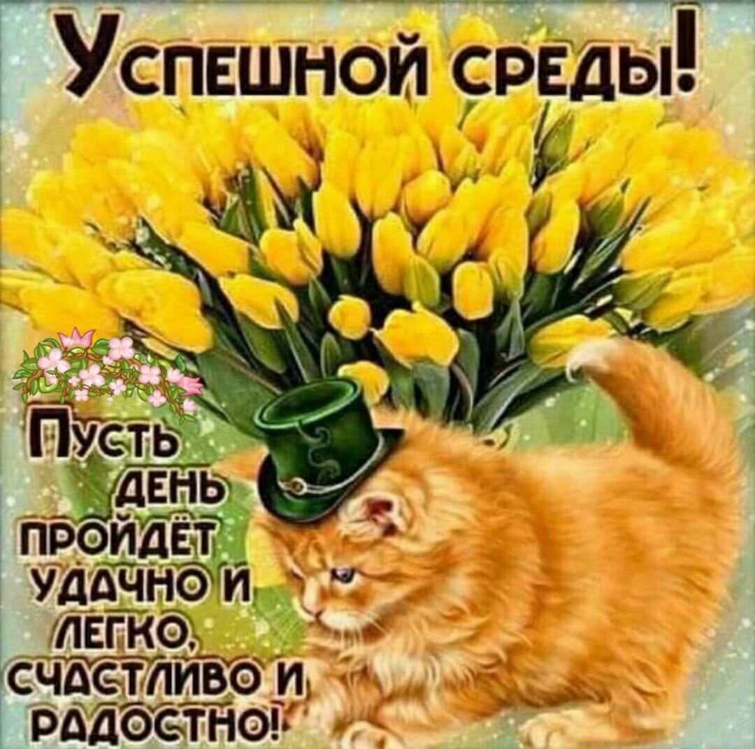 Пожелания доброго утра среды прикольные