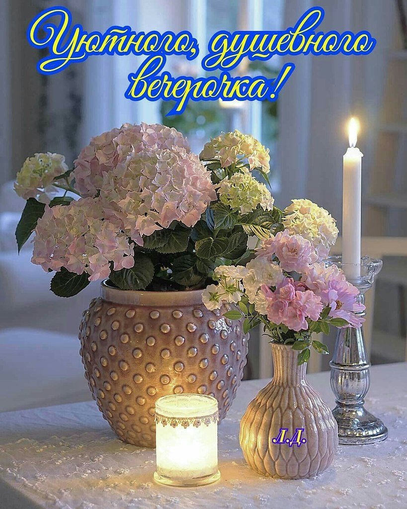 Хороший вечер