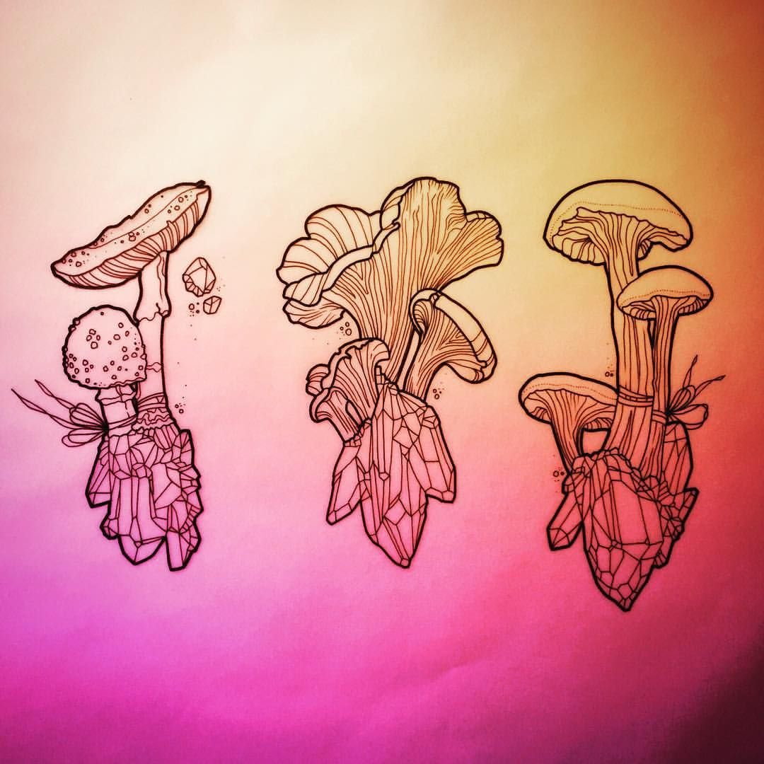 Рисунки грибов карандашом