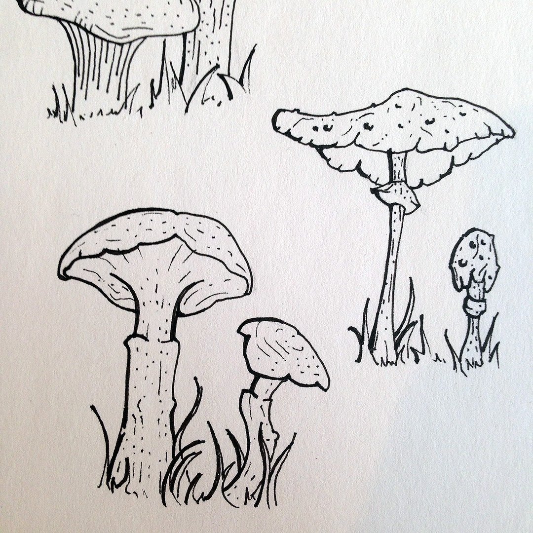 Паттерны для фона грибы