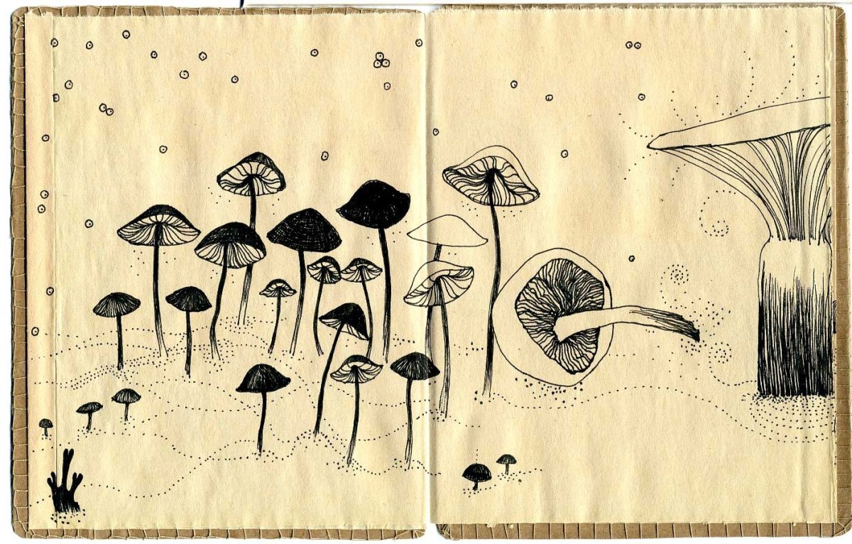 Милый грибочек