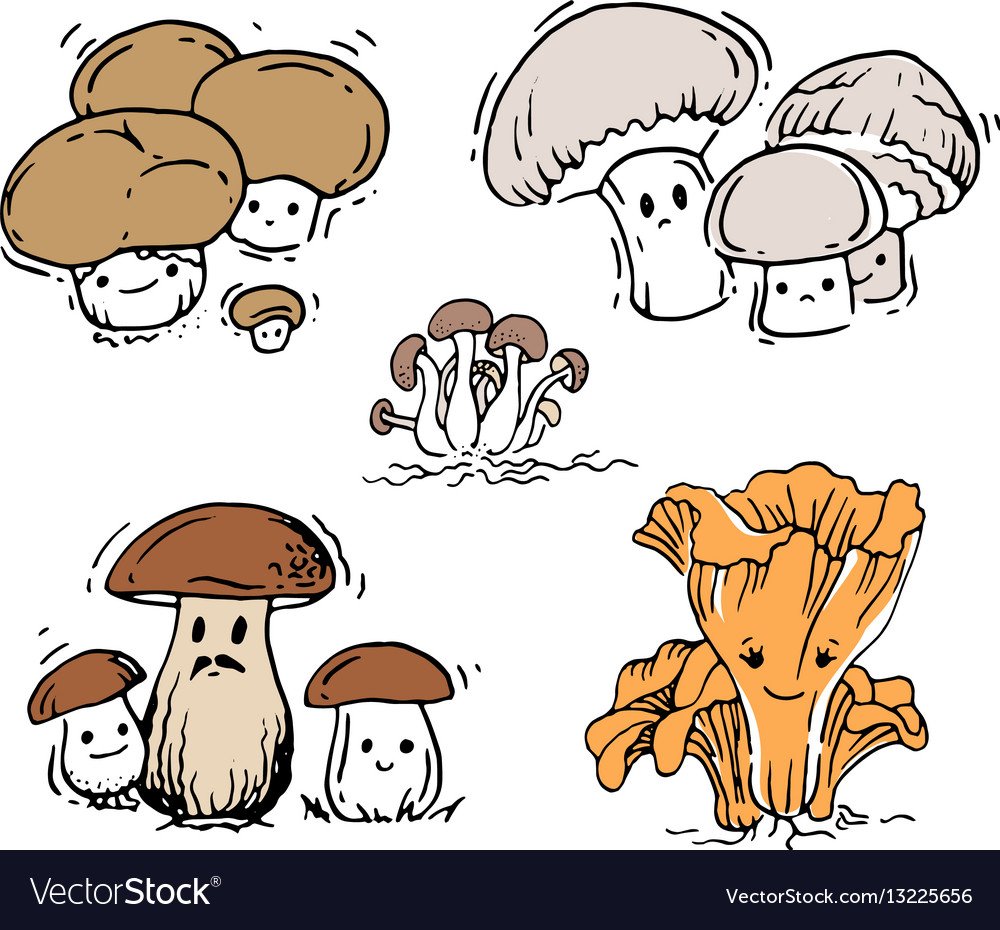 Постеры с грибами