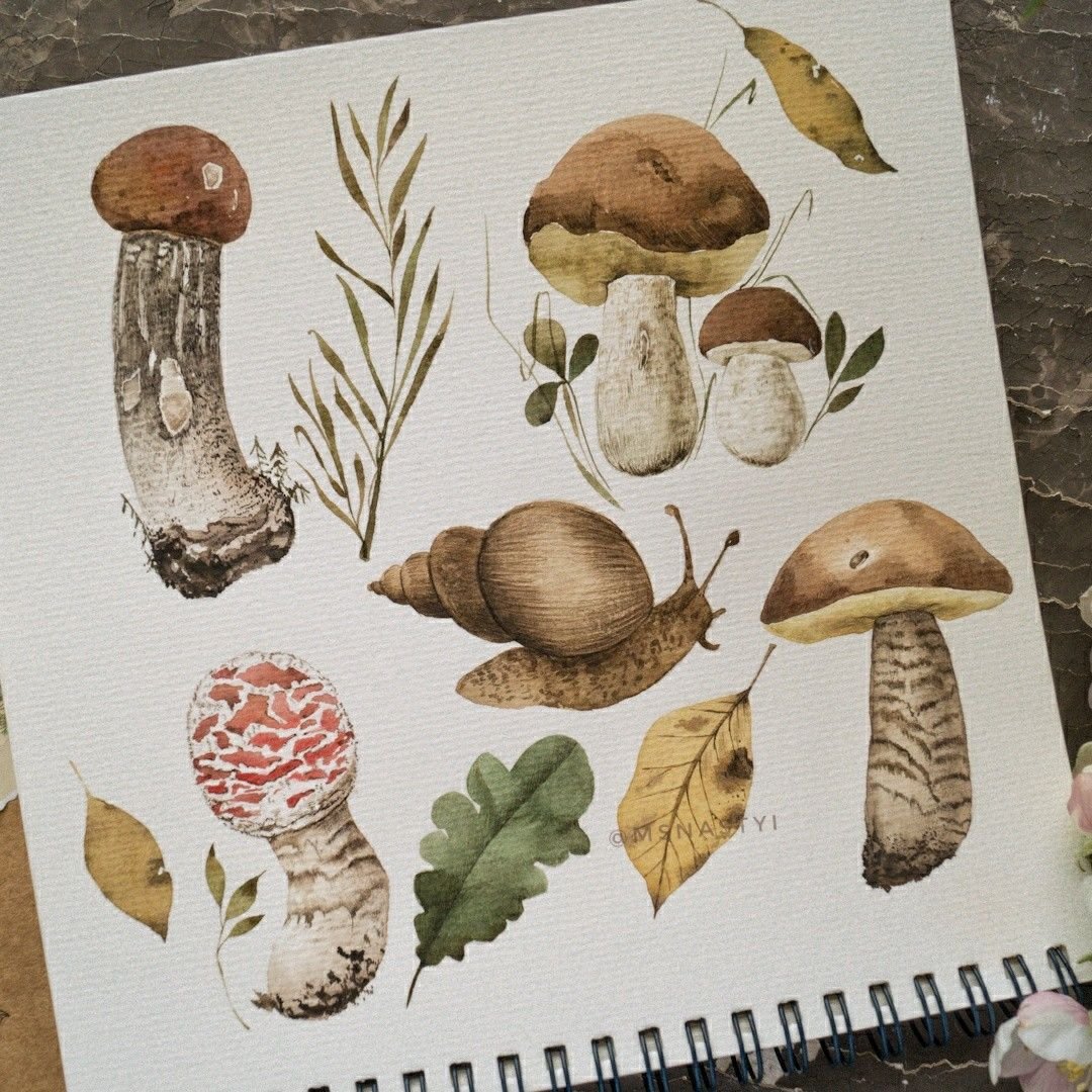 Картинки для срисовки грибы