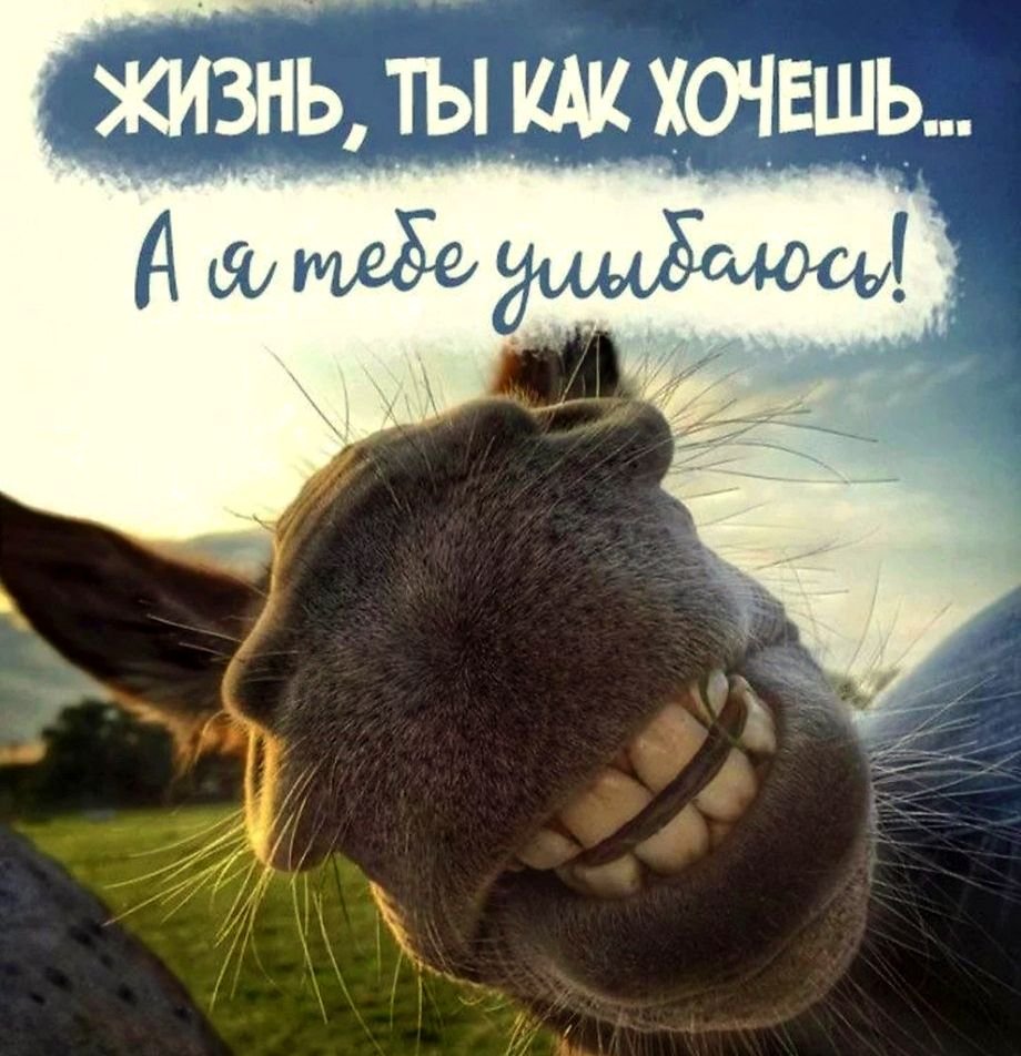 Высказывания для поднятия настроения