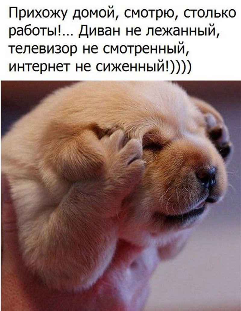 Высказывания для поднятия настроения