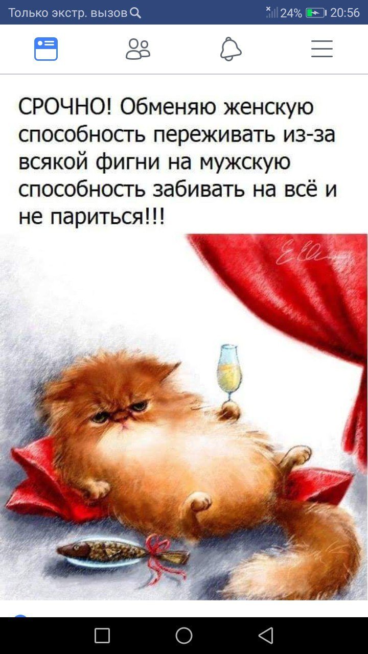 Божьи коровки