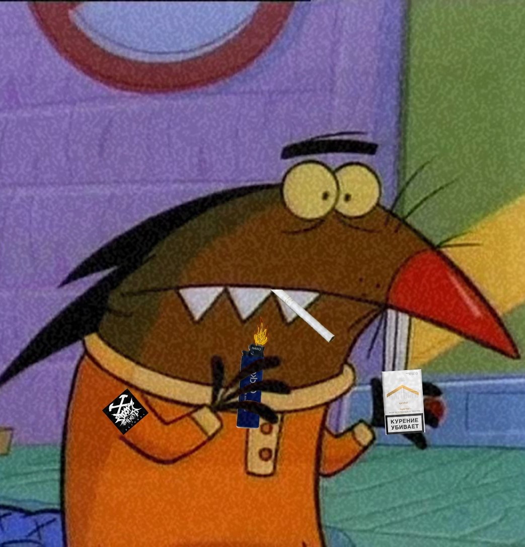 Бобры и новый год