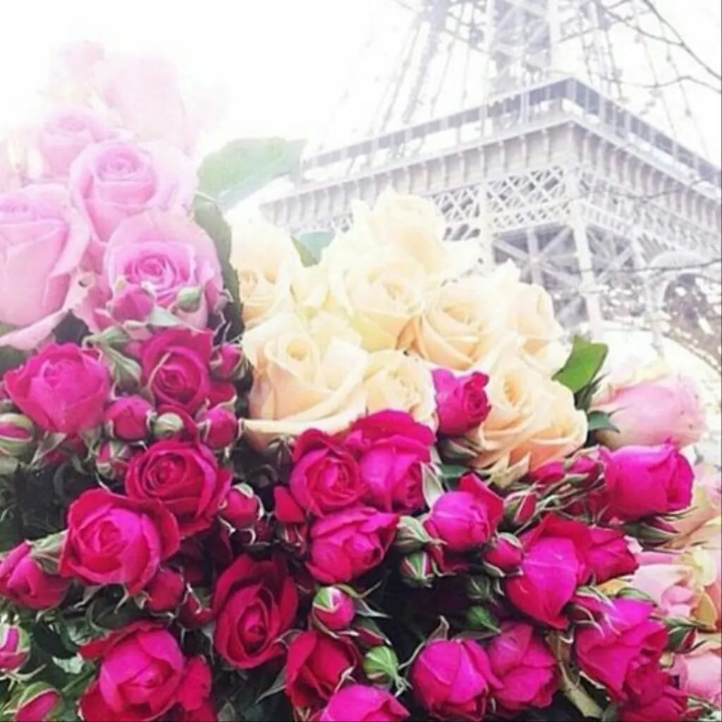 Красивый букет Париж