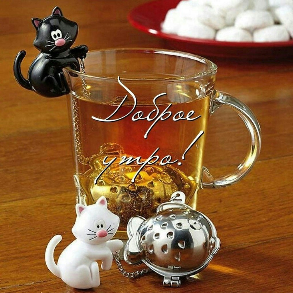 Прикольный заварник для чая в чашку