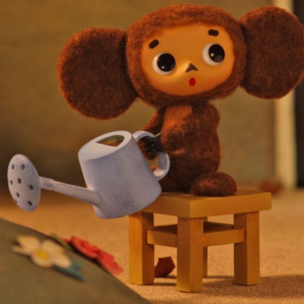 Настоящий Чебурашка