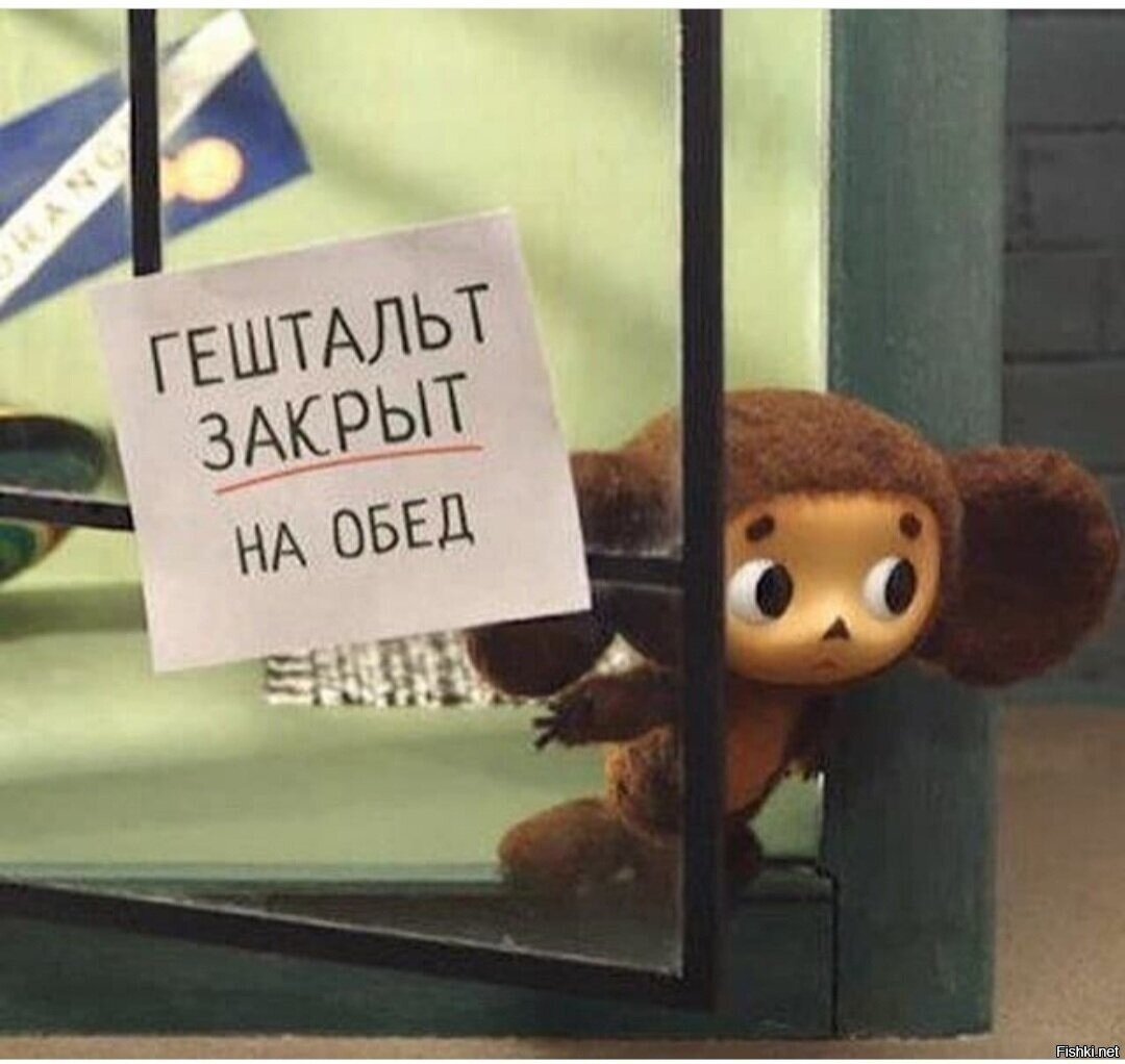 Гена ищет друзей