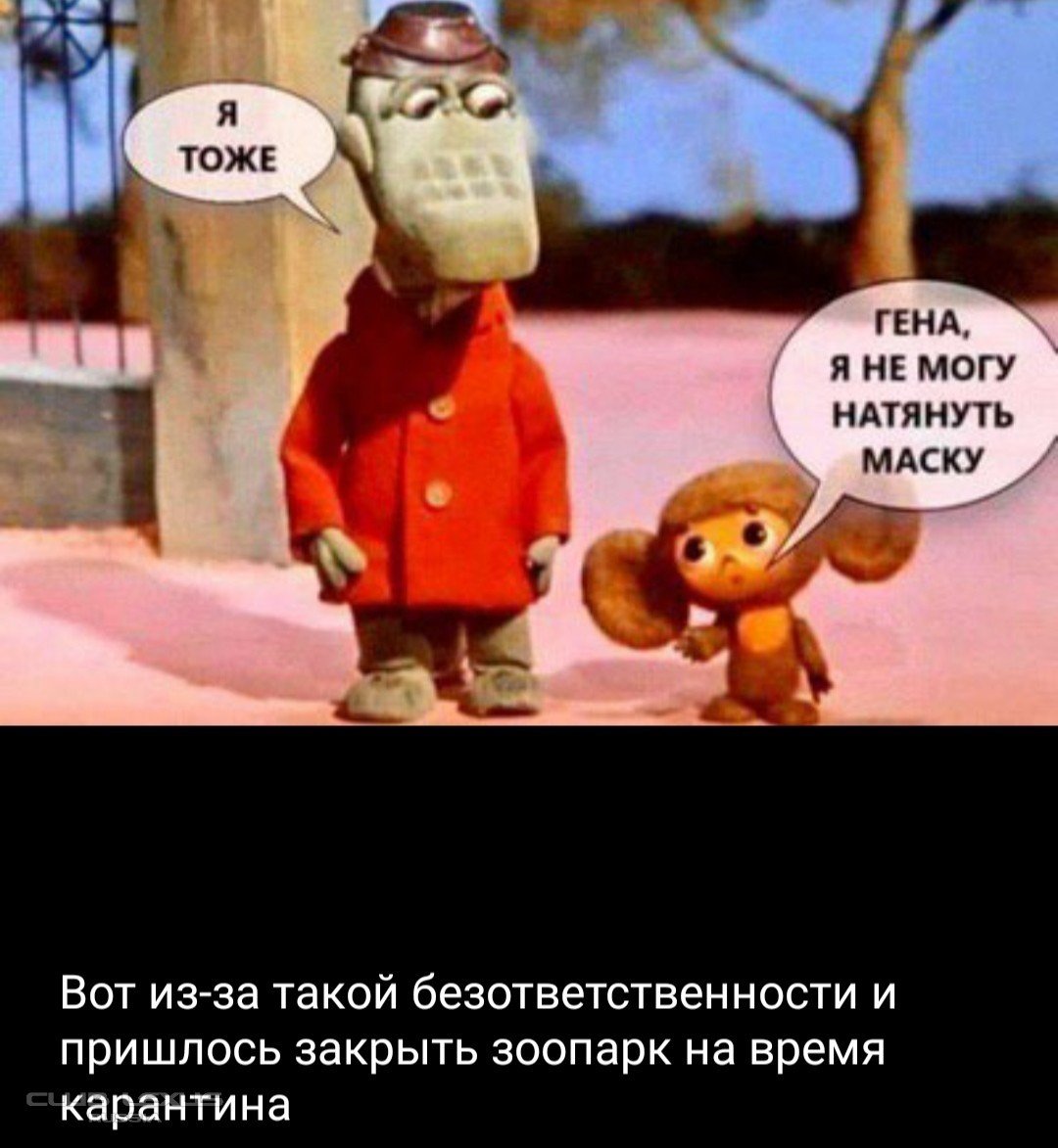 День Чебурашки