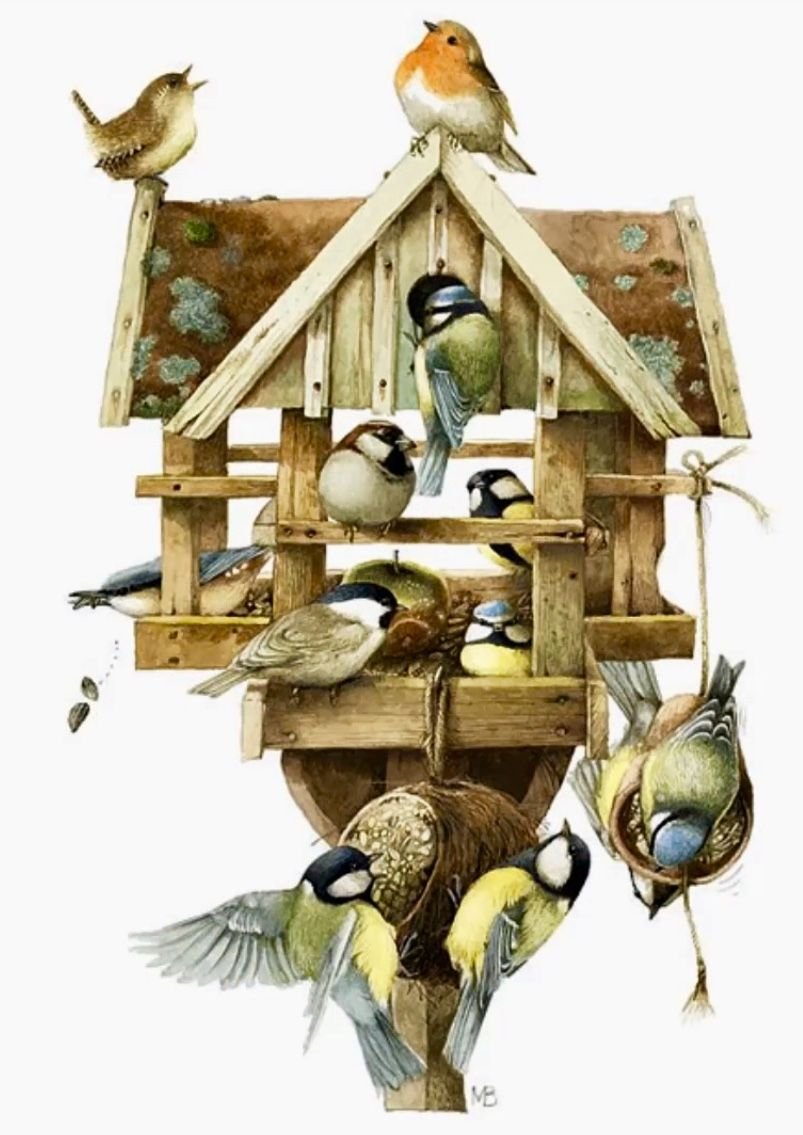 Птицы в скворечнике на прозрачном фоне