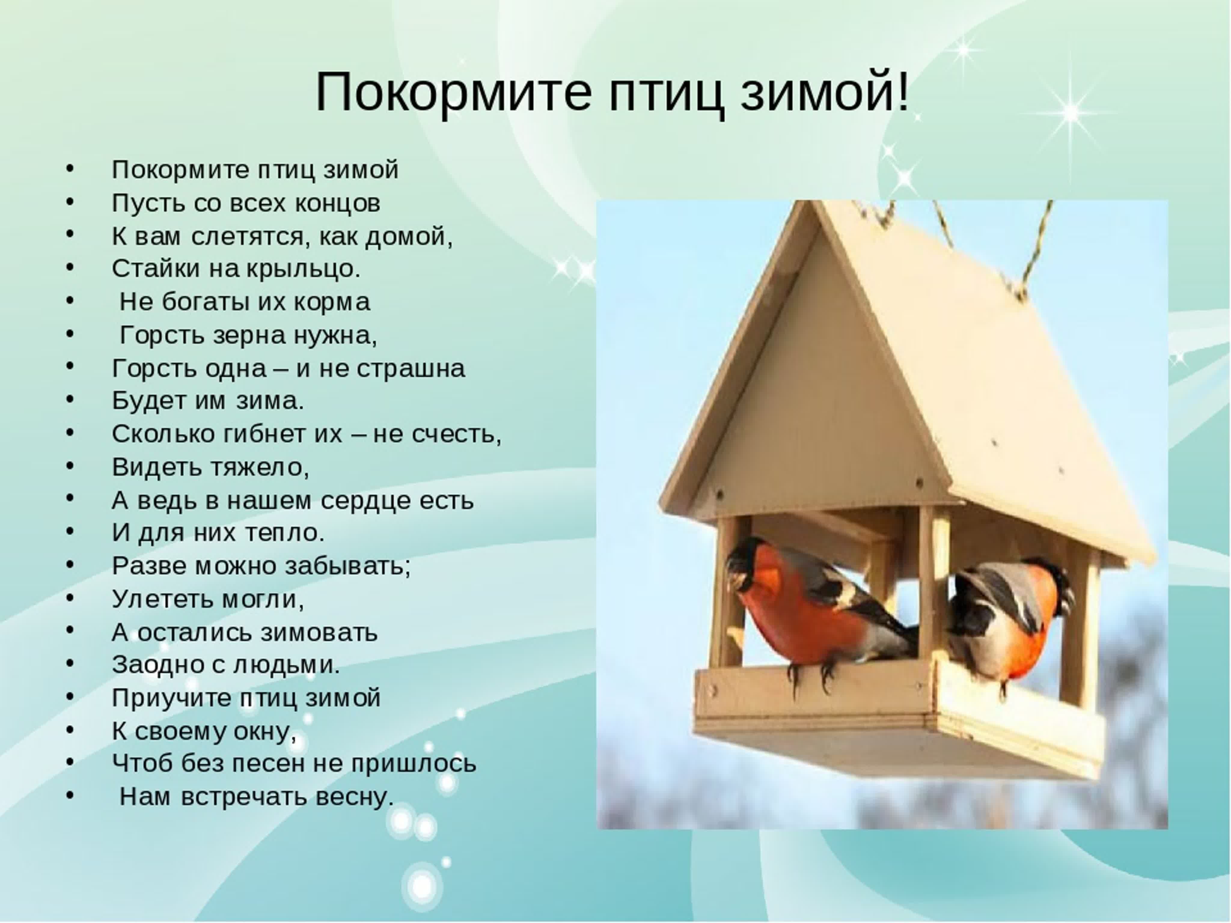 Птицы которые помогают человеку