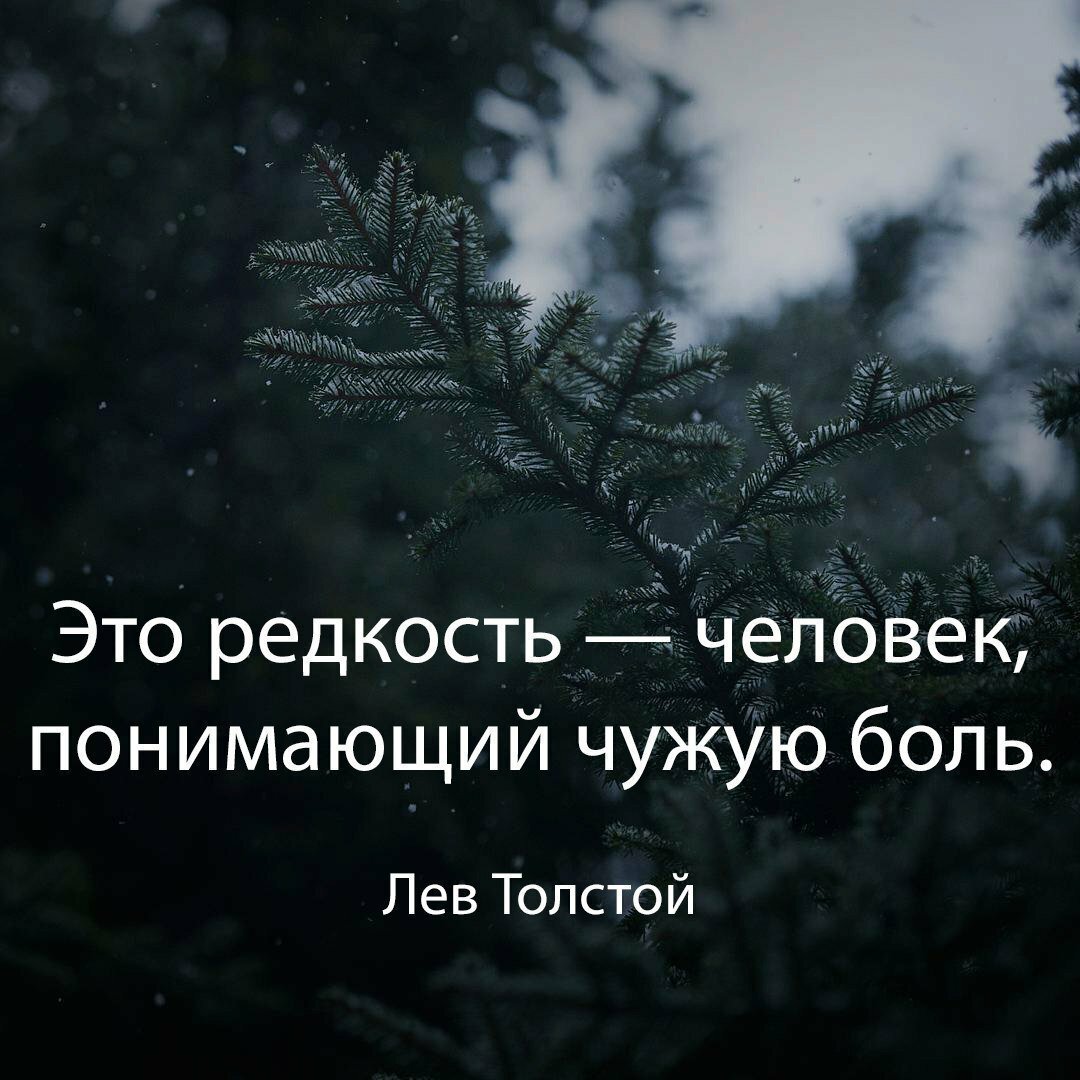 Цитаты со смыслом