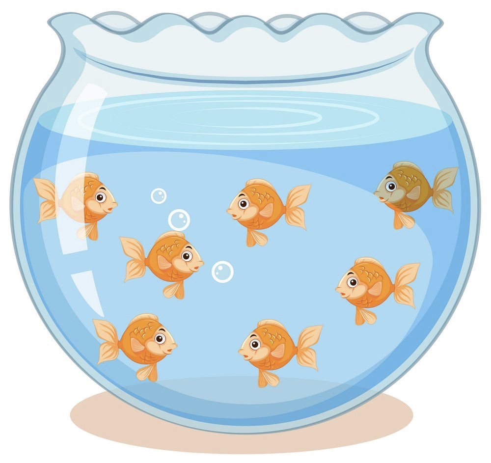 Рыбка в аквариуме вектор