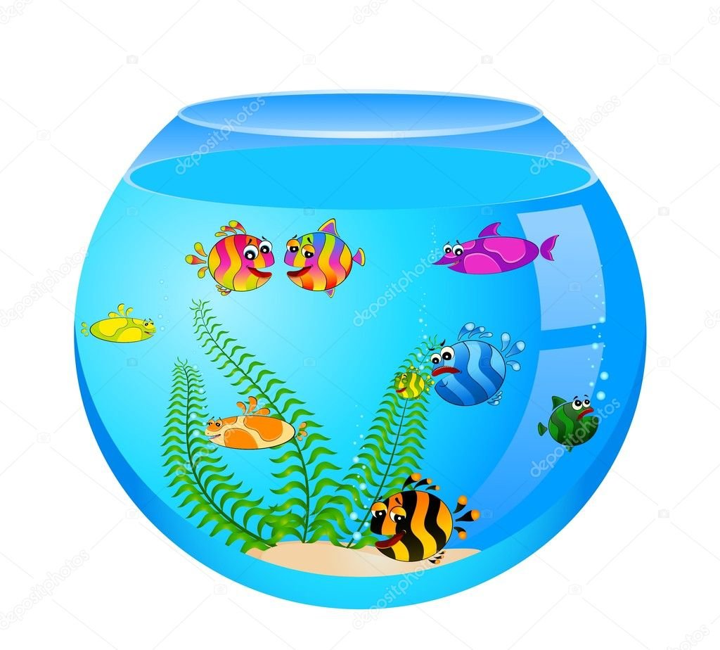 Аквариум для дошкольников