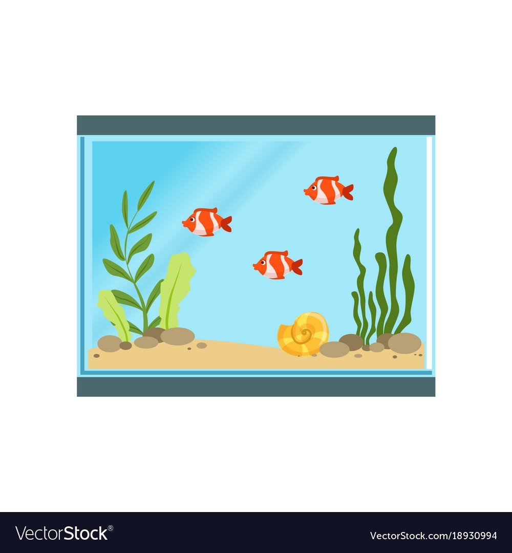 Квадратный аквариум для детей