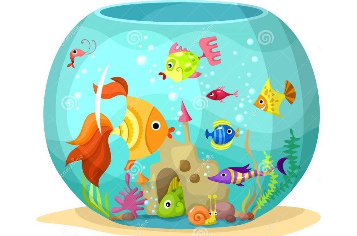 Аквариум с рыбками для детей